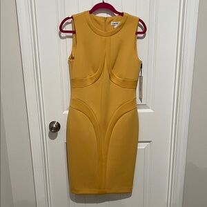 Calvin Klein Mustard Yellow Mini Dress